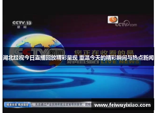 湖北经视今日直播回放精彩呈现 重温今天的精彩瞬间与热点新闻