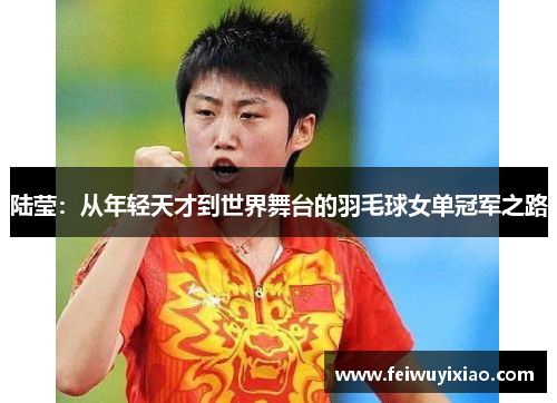 陆莹：从年轻天才到世界舞台的羽毛球女单冠军之路