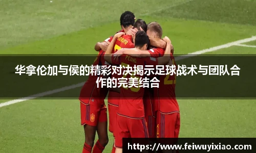 DB旗舰官方网址